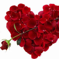 NBA Midseason, Trump, WWE