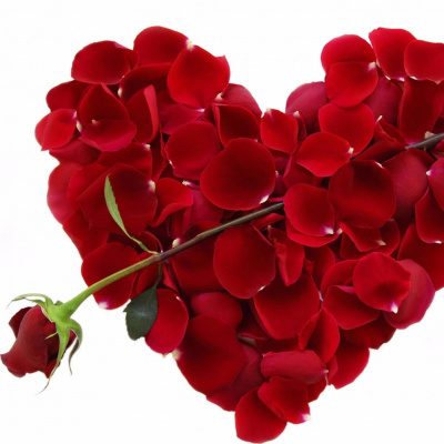 Champ And Chime Podcast