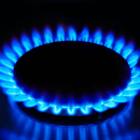 Do we need to take action with our energy security