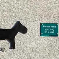 Should dog owners take more care to keep their animals on a leash?