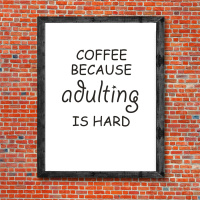 Do we all need a crash course in adulting? 