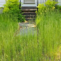 Should a tax be imposed on vacant and derelict homes?