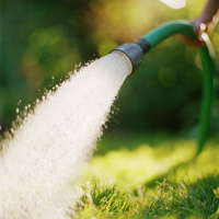 Hold your hoses and conserve water!