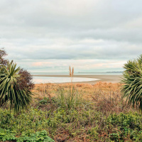 Number of beaches with poor bathing water quality has decreased 