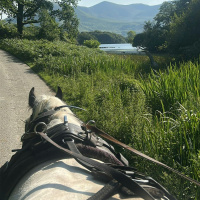 The magical tour of Killarney National Park