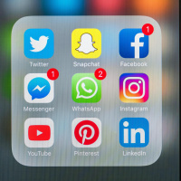 Social Media Algorithms