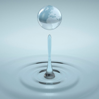 Environmental Criticism 