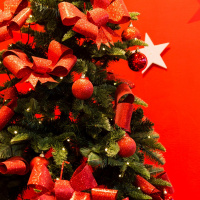 Is it too early to start celebrating Christmas in November?