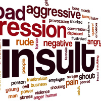 All Things Considered: Have the politics of insult gone too far?