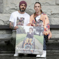 Concerning report alleging mistaken palliative label for Harvey Morrison Sherratt