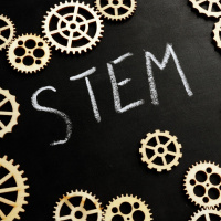 Still barriers to girls choosing a career STEM