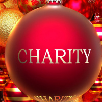 Will you donate to charity this Christmas?