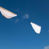 Would you wear second-hand underwear for the environment?