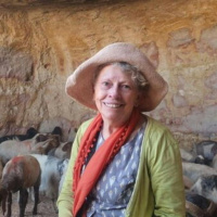 Irish Woman Detained in the West Bank