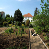 Why we need smaller gardens to tackle housing crisis? 