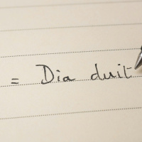 Guaranteeing the right to education in Irish for all