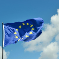 Do you feel your views on represented at EU level