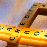 Calls for a hike in carbon tax to be delayed