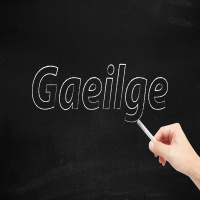 Why Irish language exemptions need to be curtailed