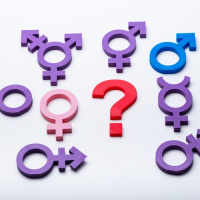 Politicians to hear about the state of our gender services