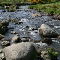 Irelands declining water quality standards