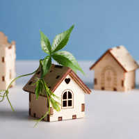 Why men are less likely than women to want to own their own home