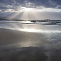 Only a quarter of beaches and harbours are ‘Clean.’ 