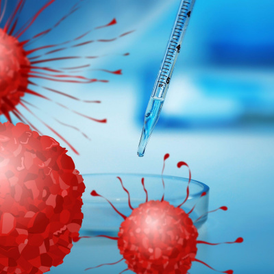 Highlights From Newstalk Breakfast