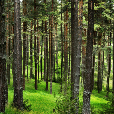 Highlights From Newstalk Breakfast