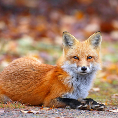 Highlights From Newstalk Breakfast