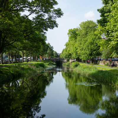 Highlights From Newstalk Breakfast