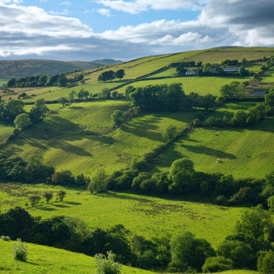 Highlights From Newstalk Breakfast