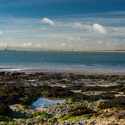 Highlights From Newstalk Breakfast