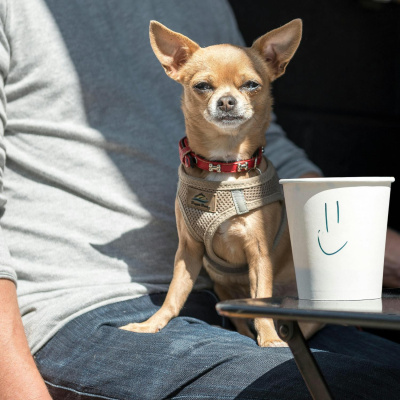 Highlights From Newstalk Breakfast