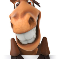 7. Nika-quide. Женева. Ратуша. Geneve. Hôtel de ville,