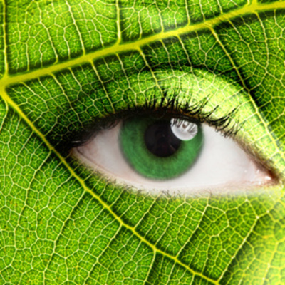 Tatiana Rebers Podcast