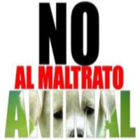 Derechos de los Animales, con Nino Canún.