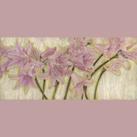 Resurrections  Freedom