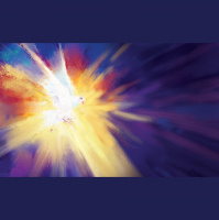 Trust. (Includes bonus meditation for solidarity)