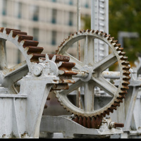 The surprising root of resilience