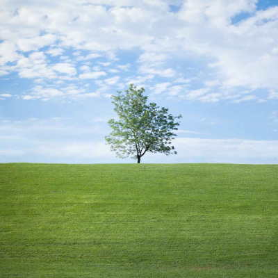 Eat Sleep Work Repeat