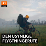 Den Usynlige Flygtningerute