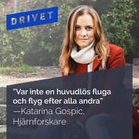 No. 2 - Katarina Gospic Råd