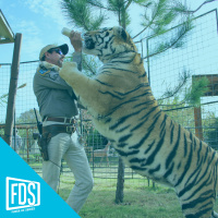 FDS Review : Tiger King