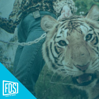 FDS Streaming: Lo del estreno de Veneno y la vuelta de La casa de papel