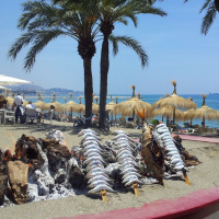 FDS: Cumpleaños en la Malagueta (ep. 366)