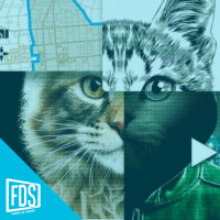 FDS Review : A los gatos ni tocarlos