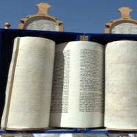 ¿No están bajo la Ley sino bajo la Gracia? 1a parte