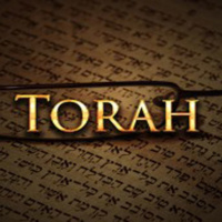Terumah: ¿Qué significa la palabra «Torah»?