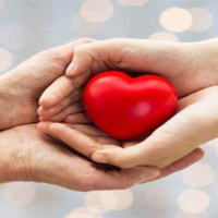 Ekev: Un buen ejercicio en el amor